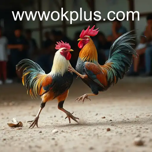 Exploring the Fascination with Sabong Games and Their Connection to OKPLUS